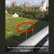Illustration for article titled Why Your Team Sucks 2018: Cincinnati Bengalsem/em